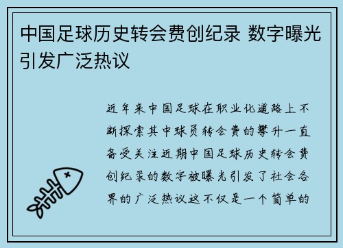 中国足球历史转会费创纪录 数字曝光引发广泛热议